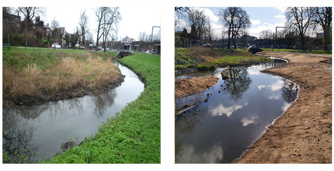 Looking downstream to the lower end of the site before and after