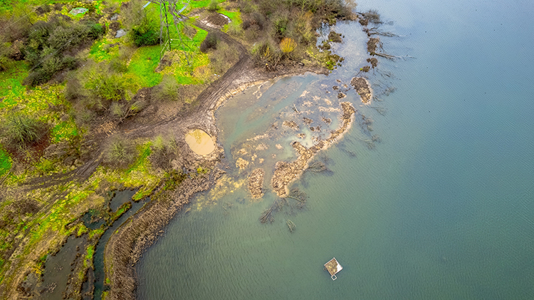 A drone shot with a repaired habitat