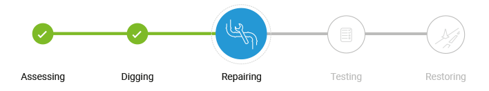 timeline-image-repairing-booster