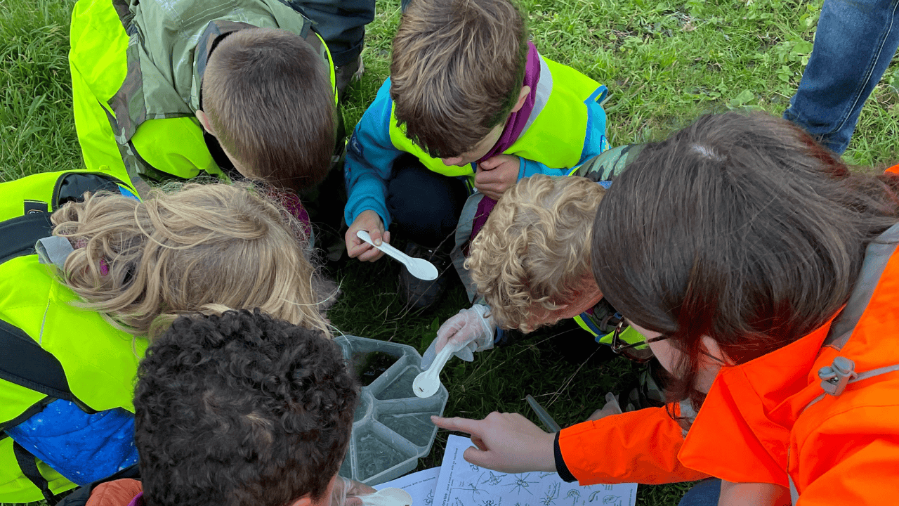 Beavers explore the wonders of chalk streams with Affinity Water